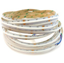Taśma LED COB 22W RGB CCT 5w1 24V